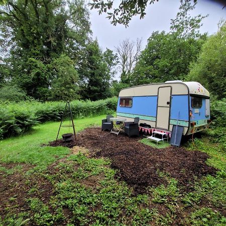 Quirky Eco Stay, Bedding Not Supplied, Peaceful & Private For 2 In Dble Bed Narberth Exterior photo