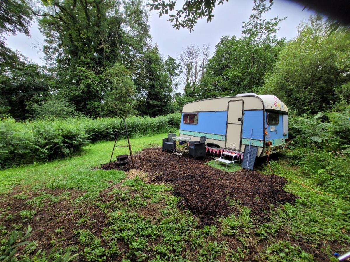 Quirky Eco Stay, Bedding Not Supplied, Peaceful & Private For 2 In Dble Bed Narberth Exterior photo